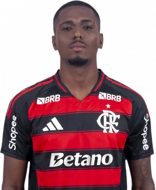 埃弗顿·阿劳霍